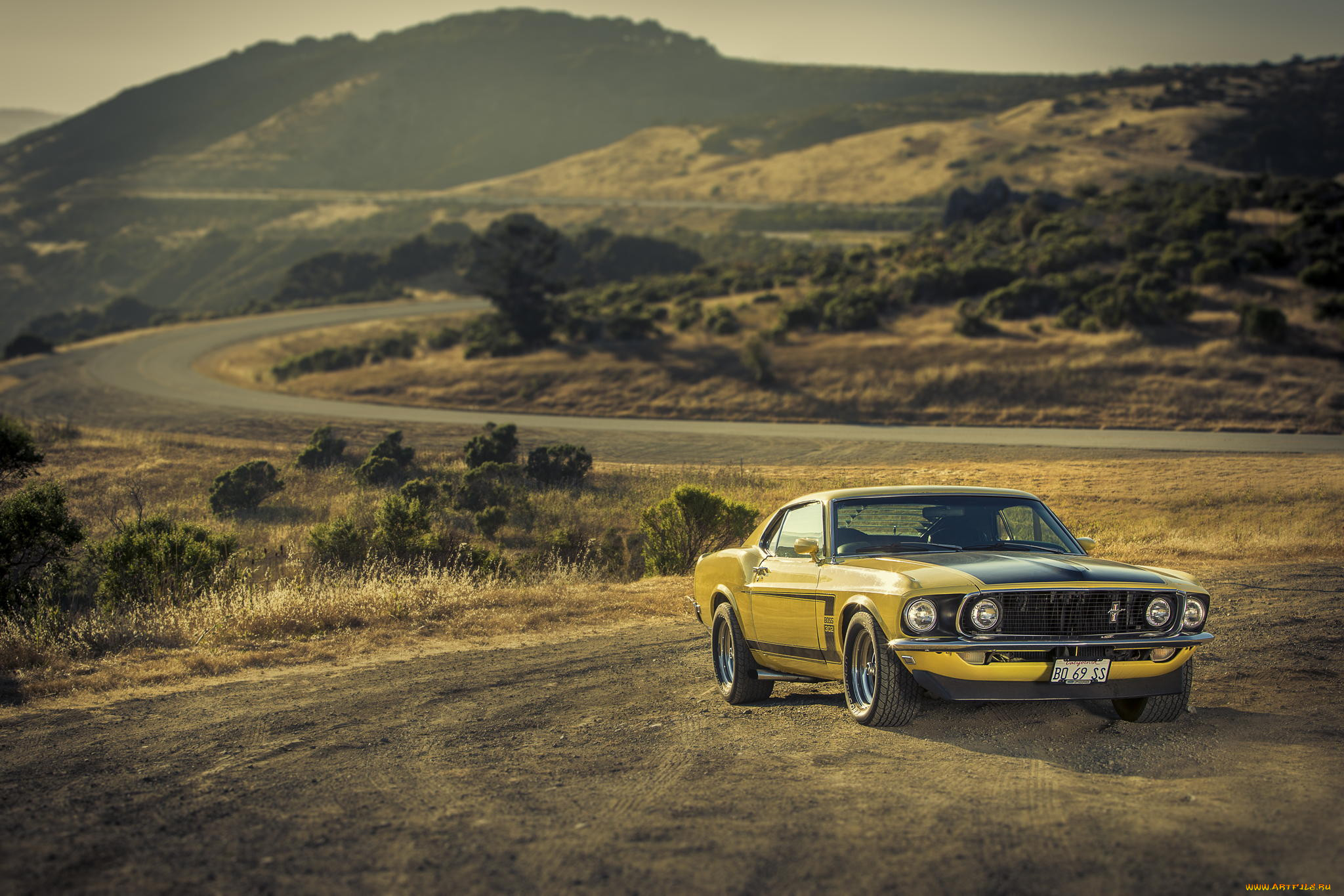 , mustang